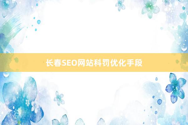 长春SEO网站科罚优化手段